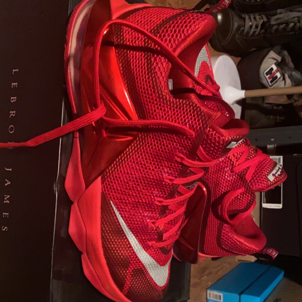 Lebron XII low